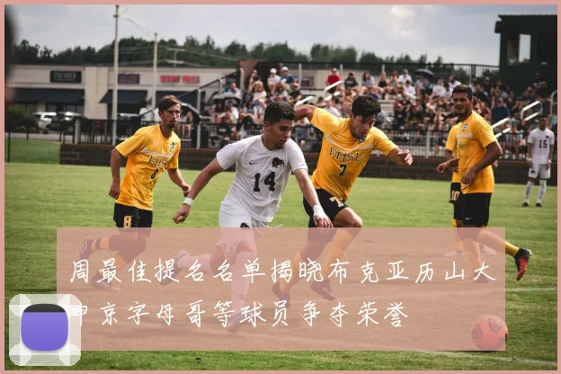 周最佳提名名单揭晓布克亚历山大申京字母哥等球员争夺荣誉
